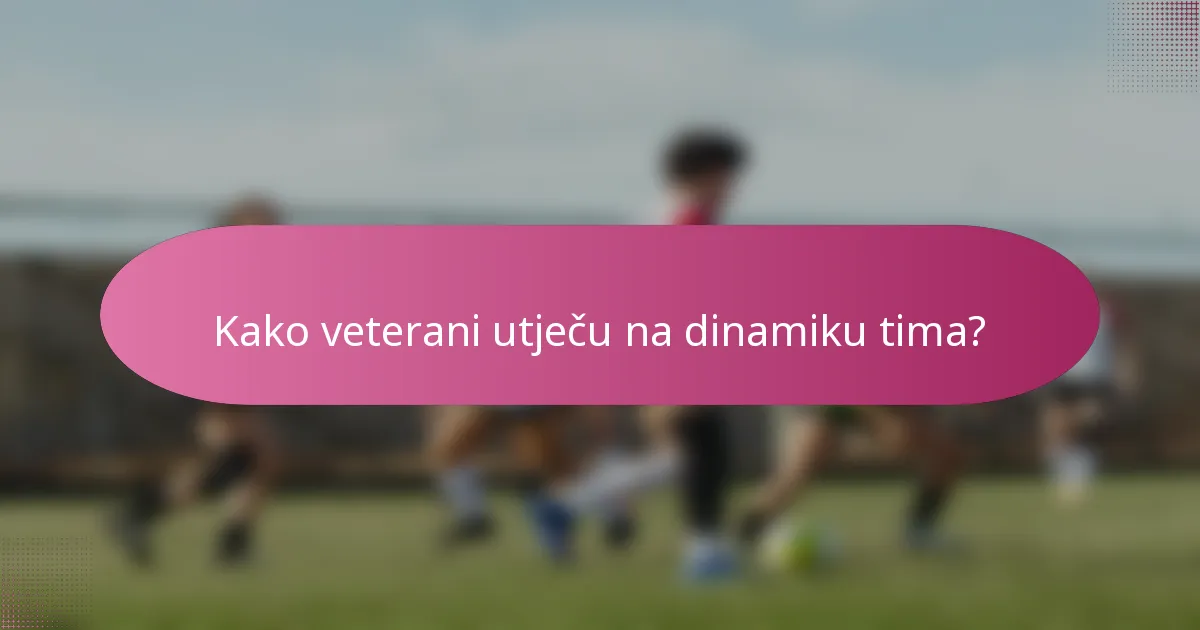 Kako veterani utječu na dinamiku tima?