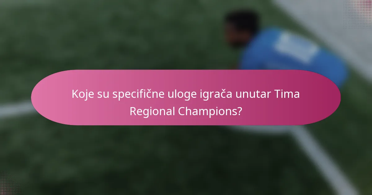 Koje su specifične uloge igrača unutar Tima Regional Champions?